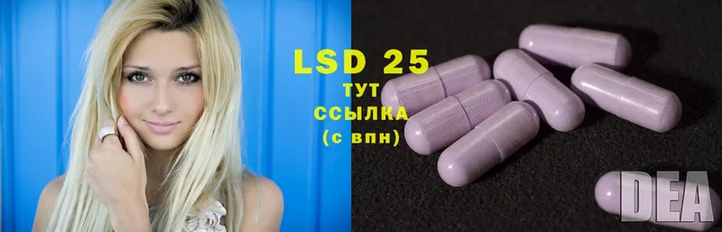 дарнет шоп  блэк спрут ССЫЛКА  ЛСД экстази ecstasy  это состав  Белокуриха 